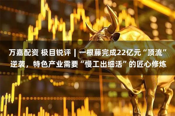 万嘉配资 极目锐评∣一根藤完成22亿元“顶流” 逆袭，特色产业需要“慢工出细活”的匠心修炼