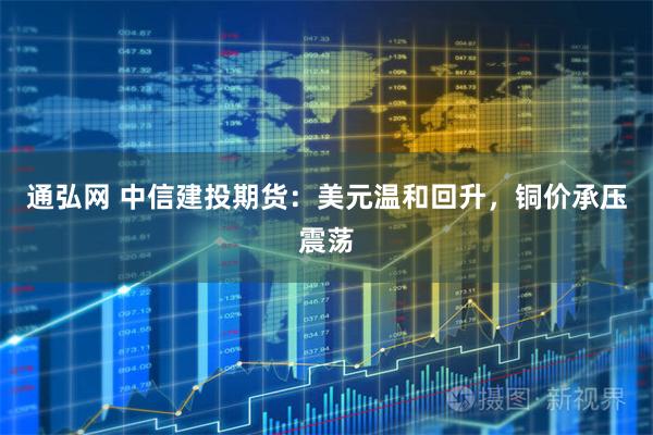通弘网 中信建投期货：美元温和回升，铜价承压震荡