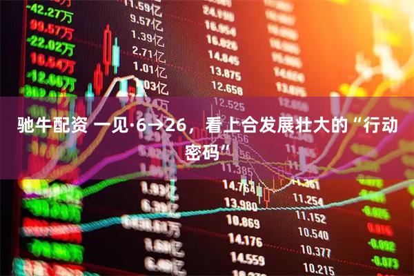 驰牛配资 一见·6→26，看上合发展壮大的“行动密码”